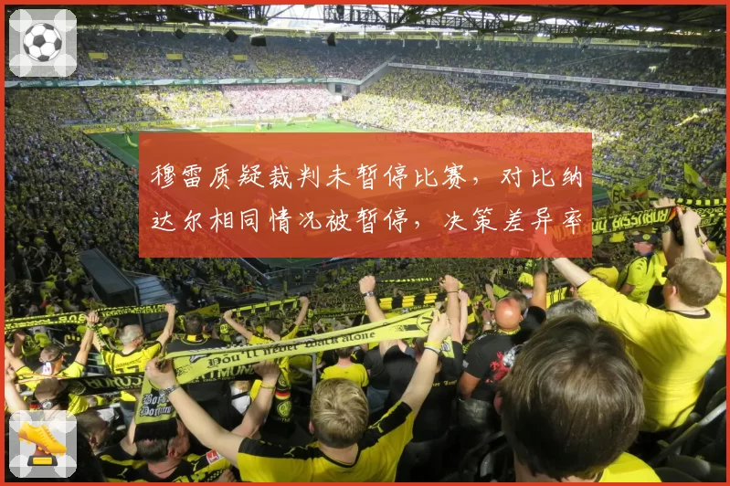 穆雷质疑裁判未暂停比赛,对比纳达尔相同情况被暂停,决策差异率曝光