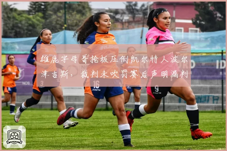 雄鹿字母哥抢板压倒凯尔特人波尔津吉斯，裁判未吹罚赛后声明漏判