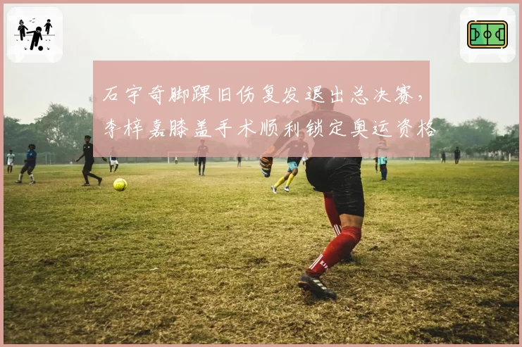 石宇奇脚踝旧伤复发退出总决赛,李梓嘉膝盖手术顺利锁定奥运资格